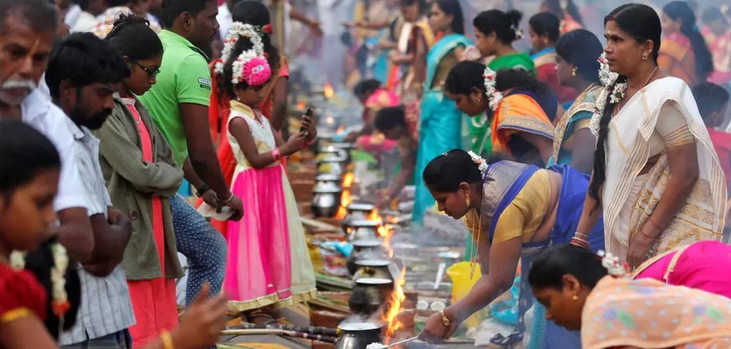 Pongal Festival