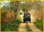 Jeep Safari